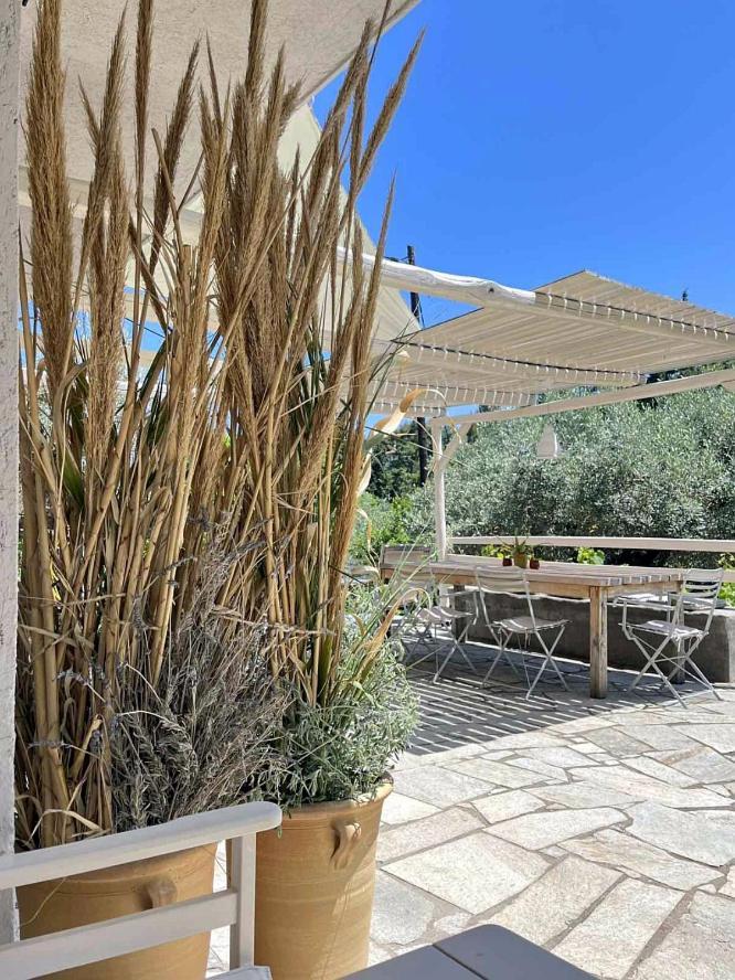 Lithea Villas And Studios By The Sea أغيوس بطرس ألونيسوس المظهر الخارجي الصورة